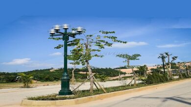 Đèn Chùm Cột Trang trí Sân Vườn